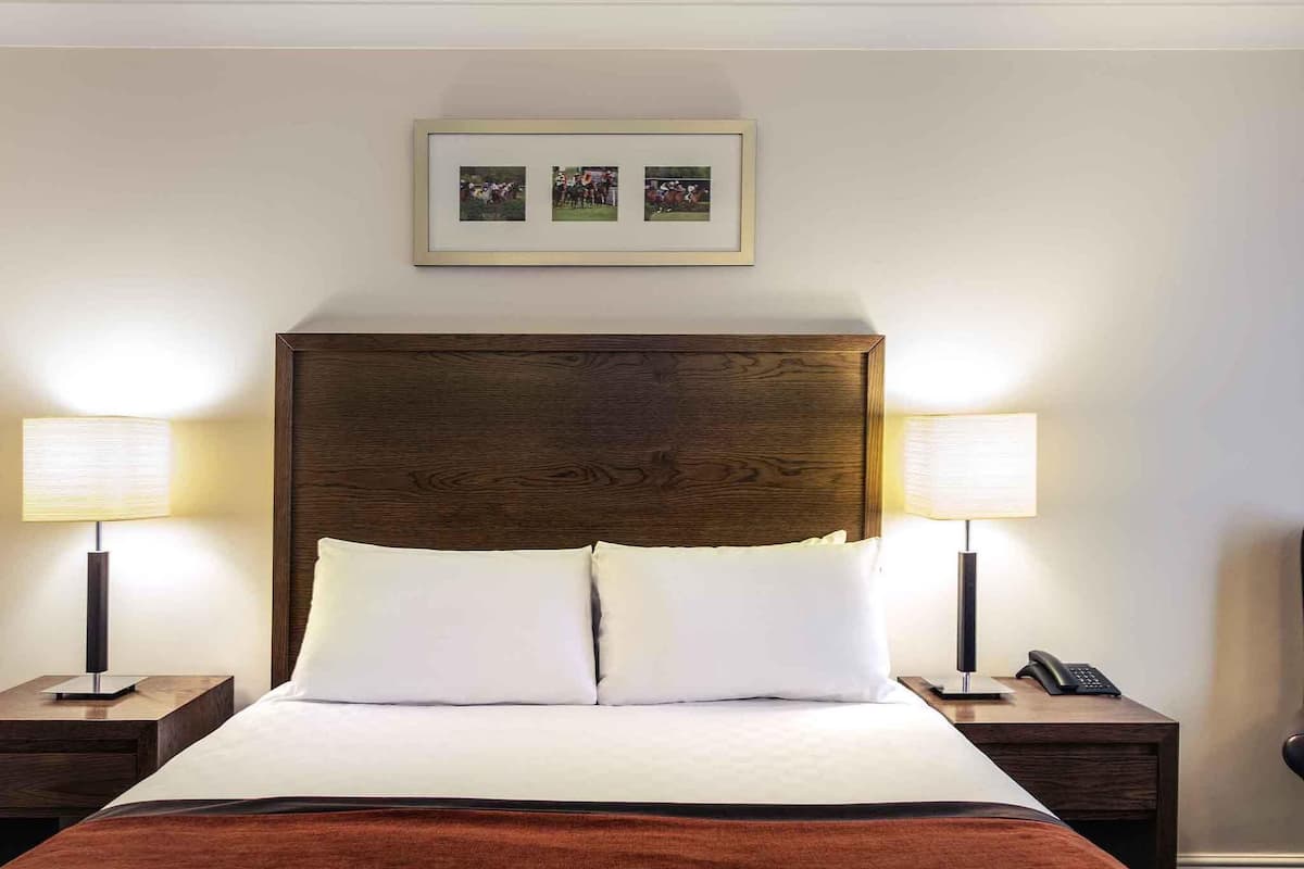 Privilege, Room, 1 Double Bed | Desk, iron/ironing board, free cribs/infant beds, free rollaway beds