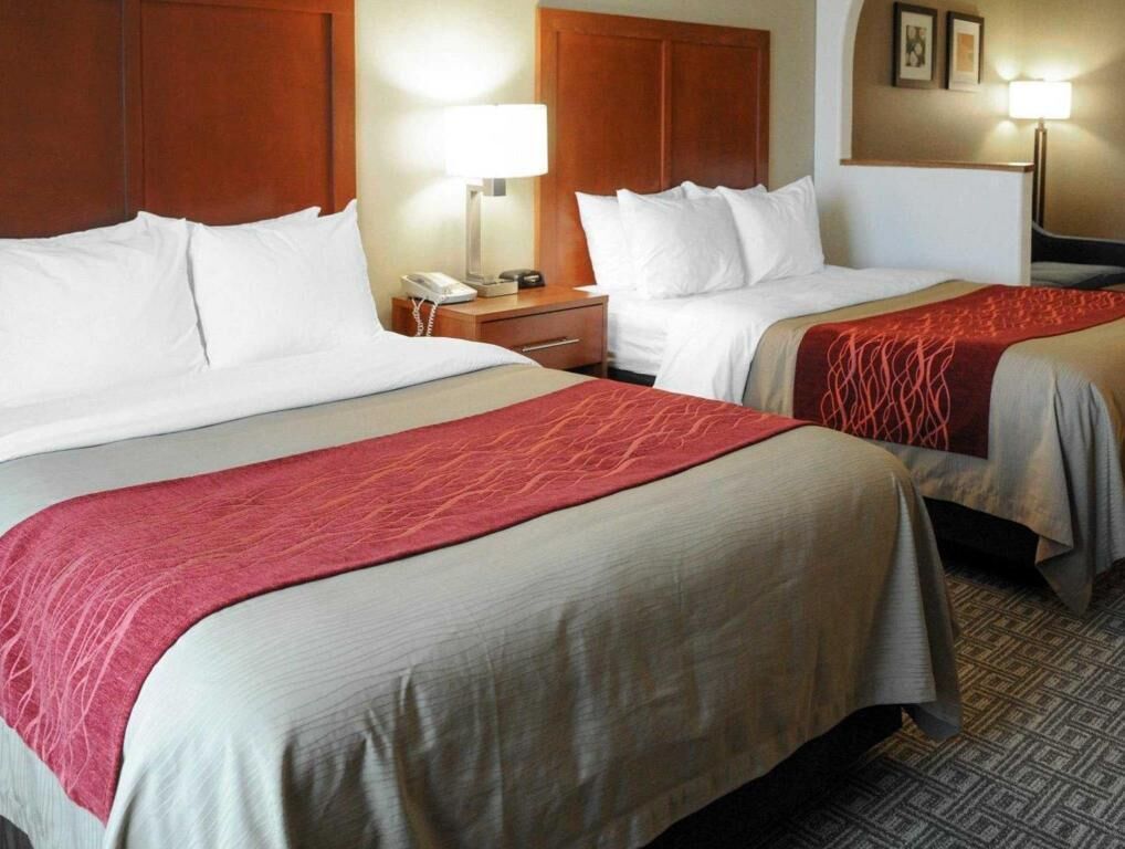 Down comforters, pillowtop beds, desk, blackout drapes