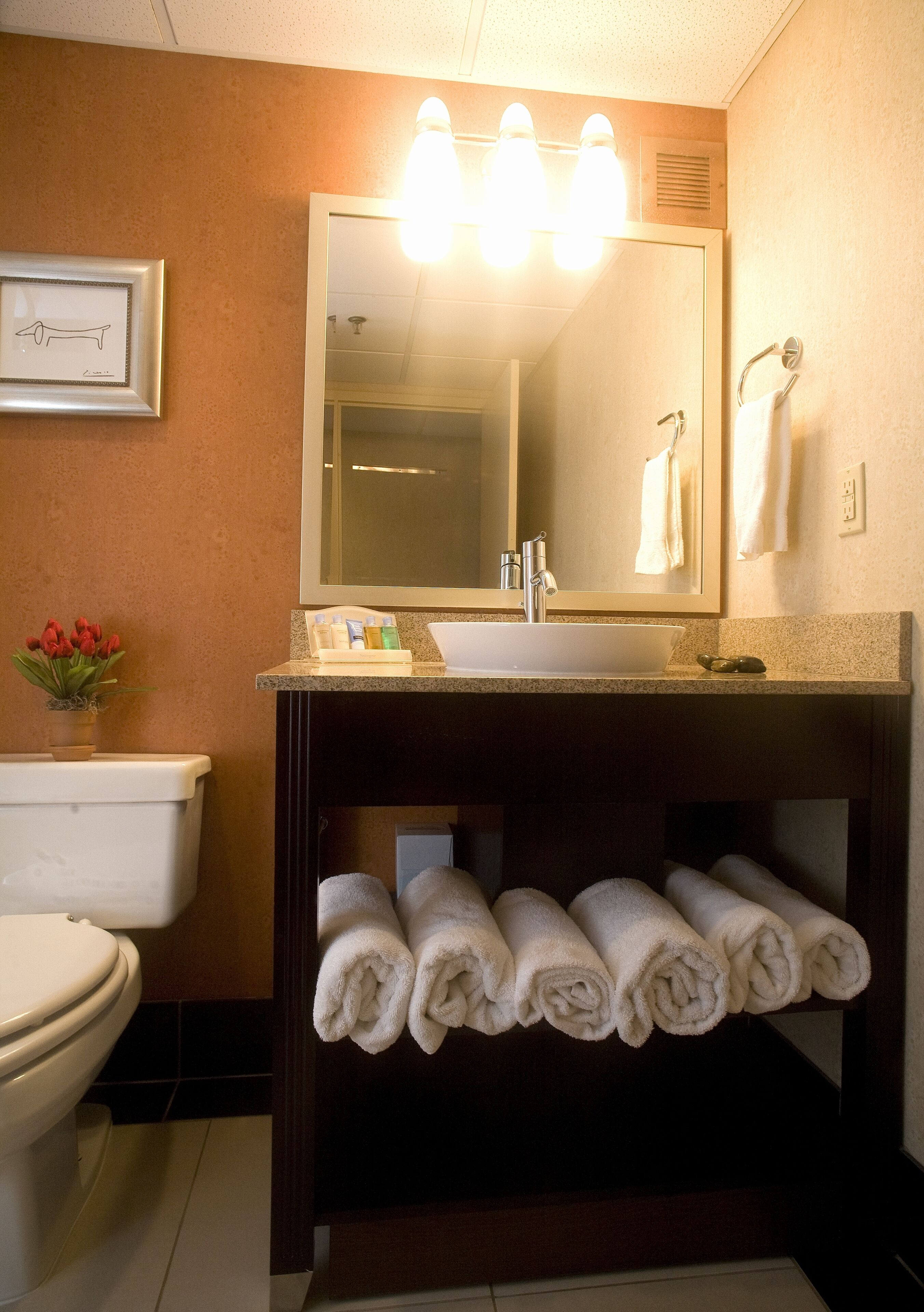 combined shower/bathtub, designer toiletries, hair dryer, towels