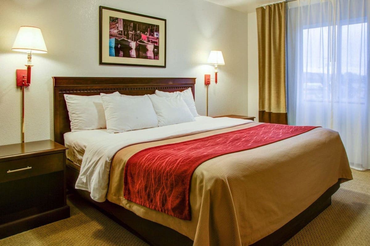 A hotel room with a large bed, two bedside lamps, a nightstand, a framed picture on the wall, and a window with curtains.