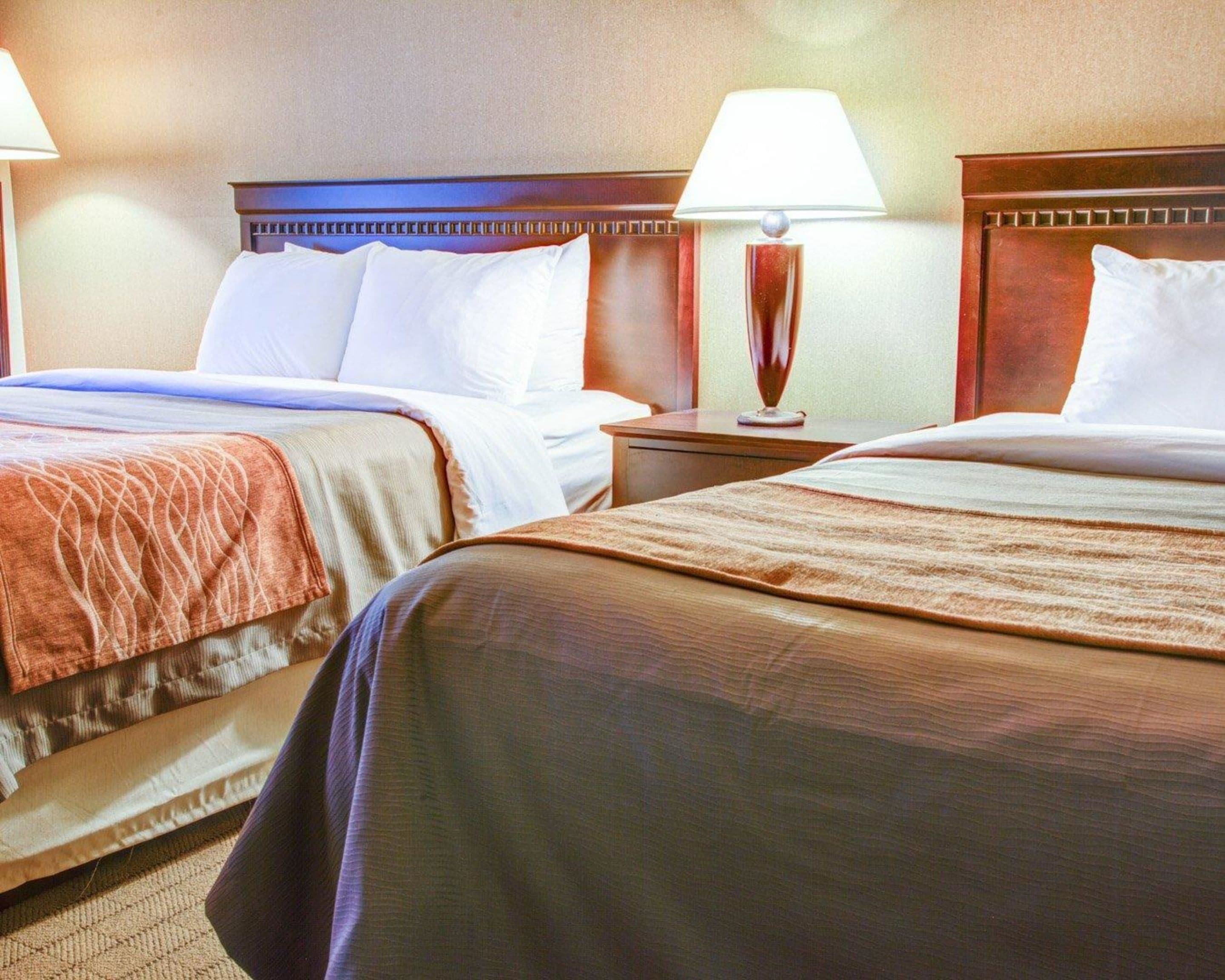 Dos camas dobles con cabeceras, una mesita de noche con lámpara y suelo alfombrado en una habitación de hotel.