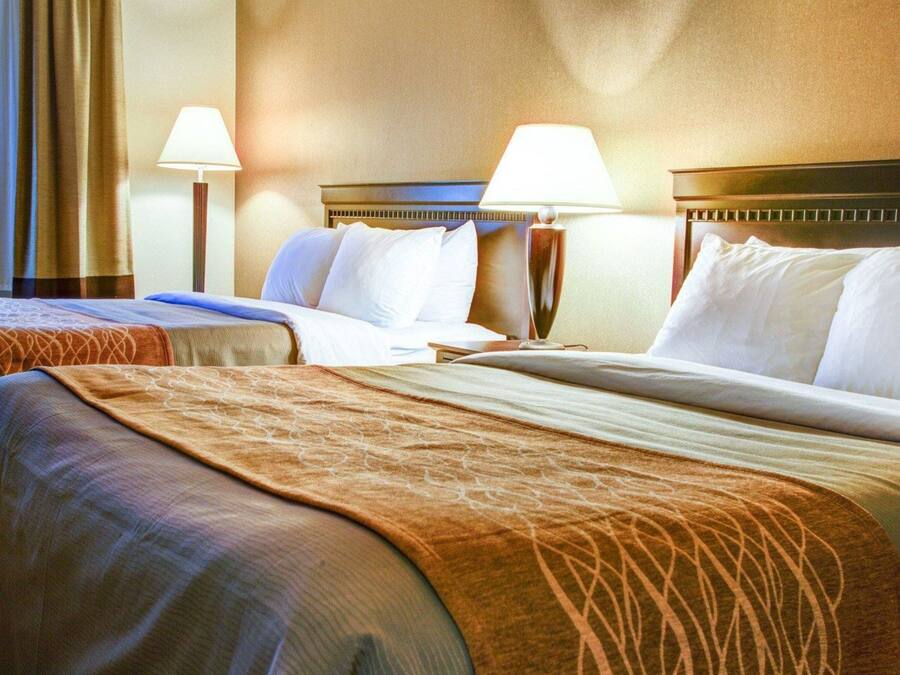 Ein Hotelzimmer mit zwei Betten, jeweils mit Kopfstütze und Nachttischlampen.