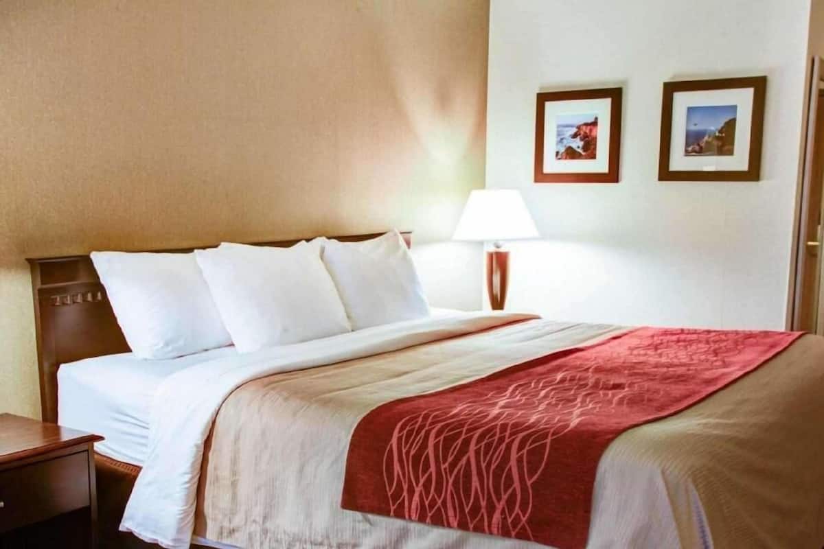 A hotel room with a bed, a nightstand, a lamp, and two framed pictures on the wall.