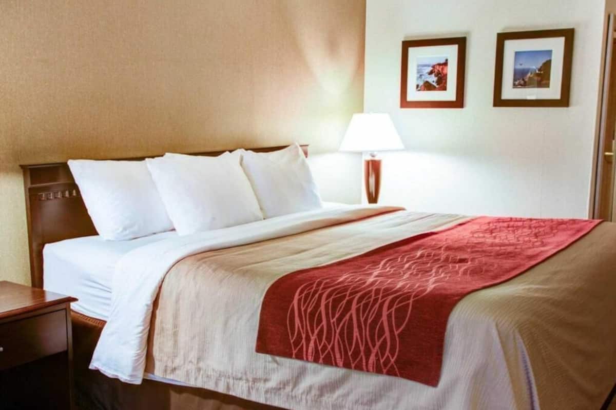 Desk, blackout drapes, iron/ironing board, free WiFi