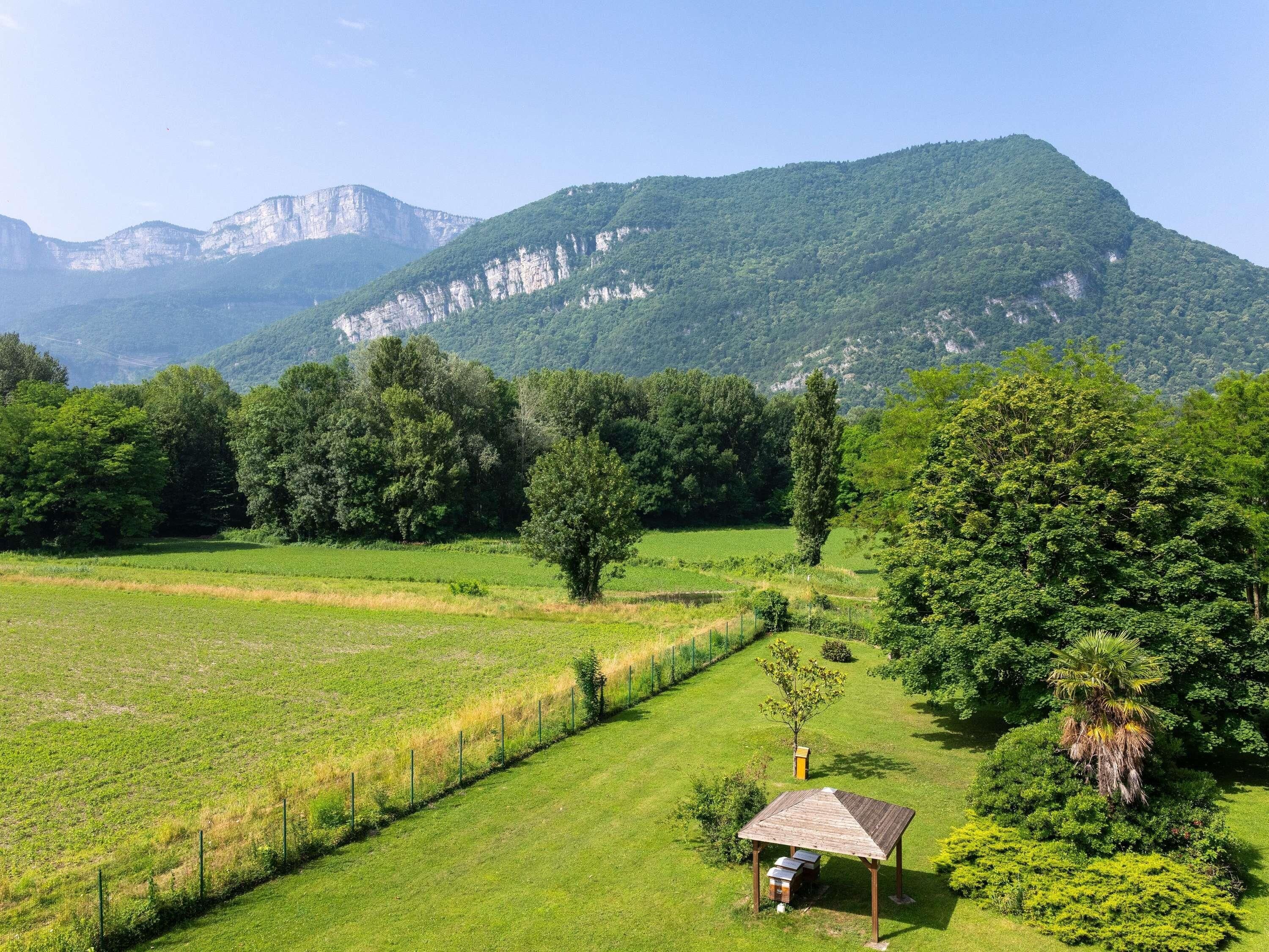 Un paysage rural avec une petite construction en bois, peut-être un belvédère, entouré d’une végétation luxuriante et de champs.