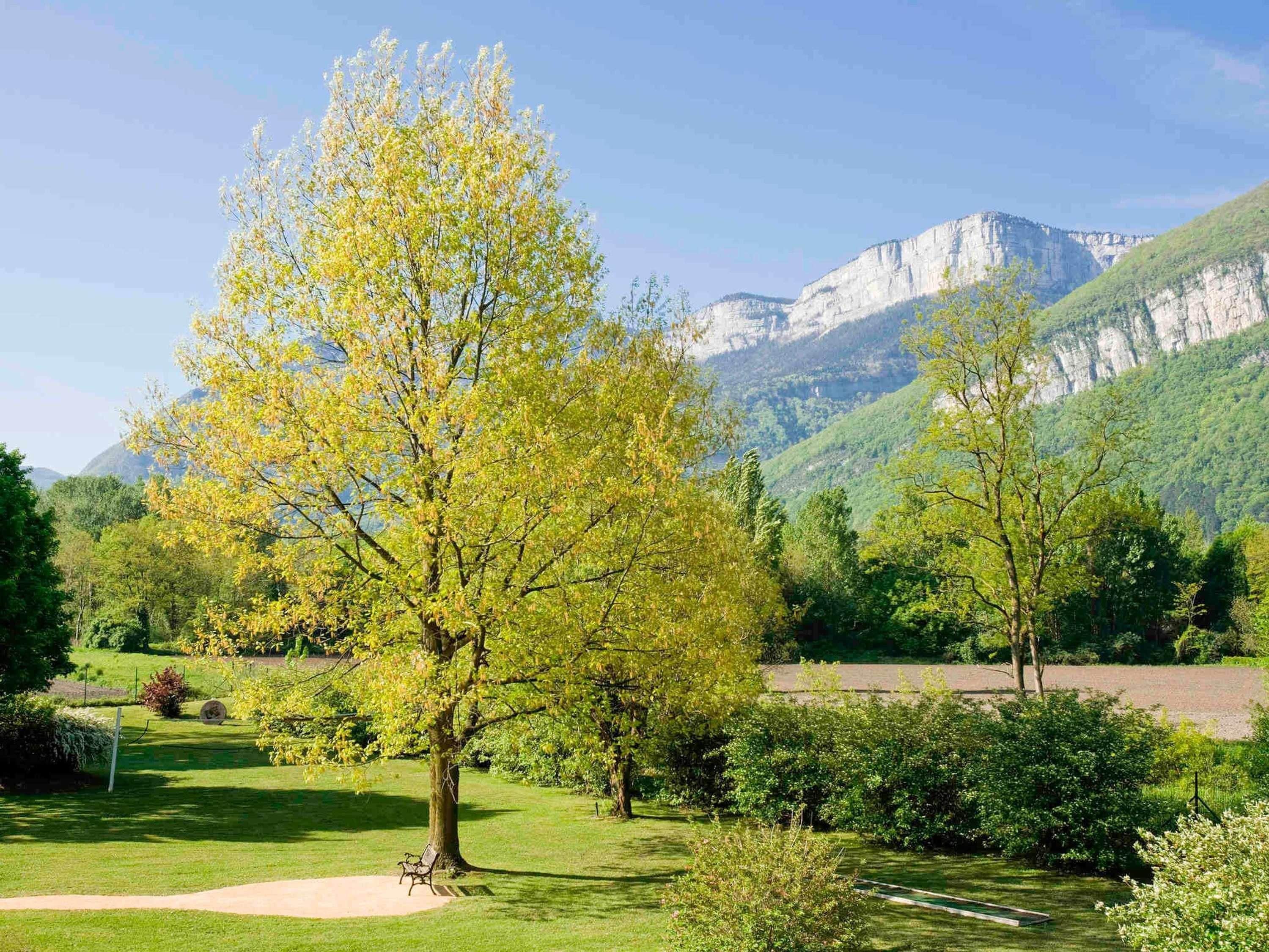 Un parque con un árbol grande, un banco y vistas a las montañas.