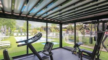 A gym with a treadmill, stationary bike, and weight machines, overlooking a pool and garden.