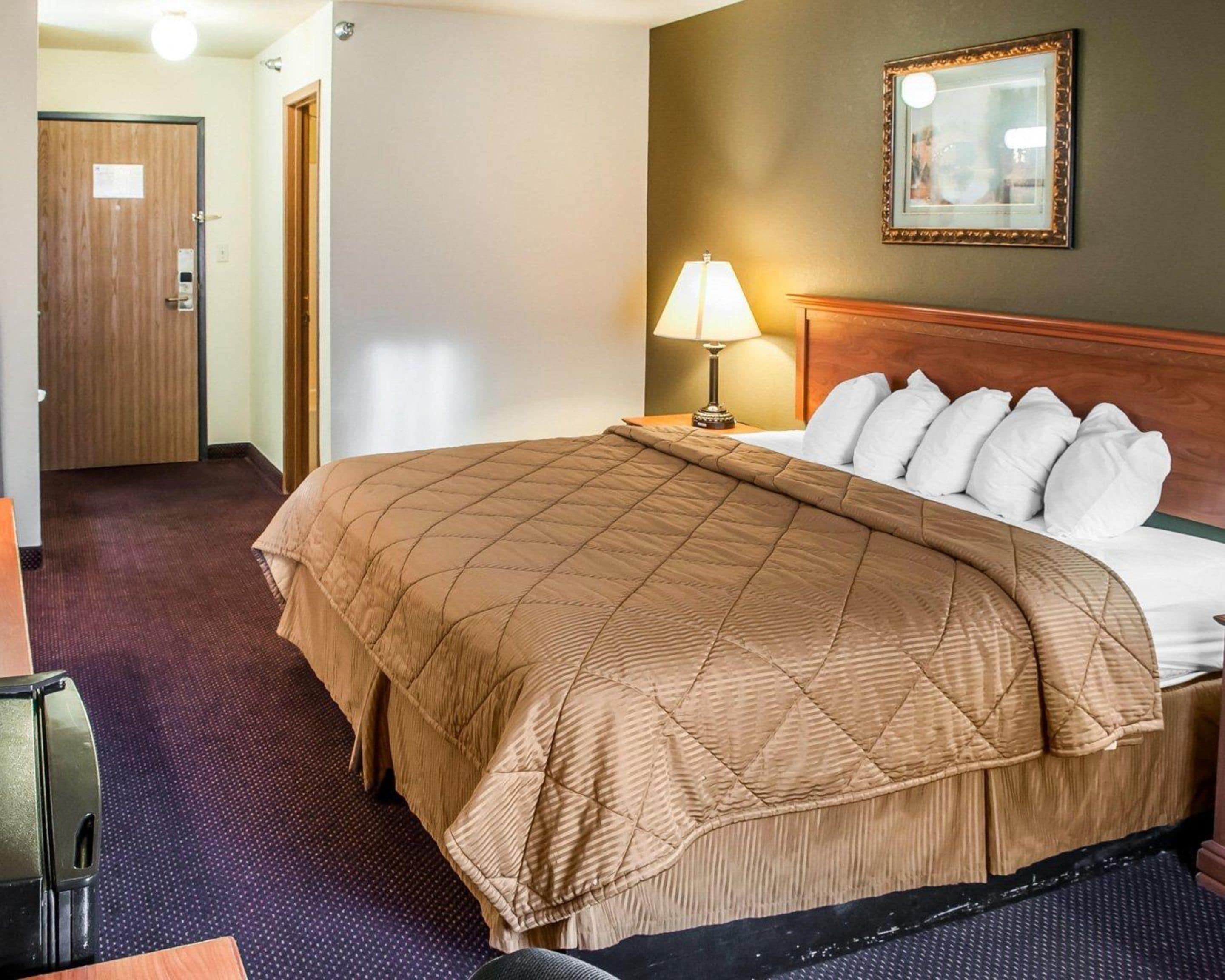 A hotel room with a bed, a nightstand, a lamp, a framed picture on the wall, and a door.