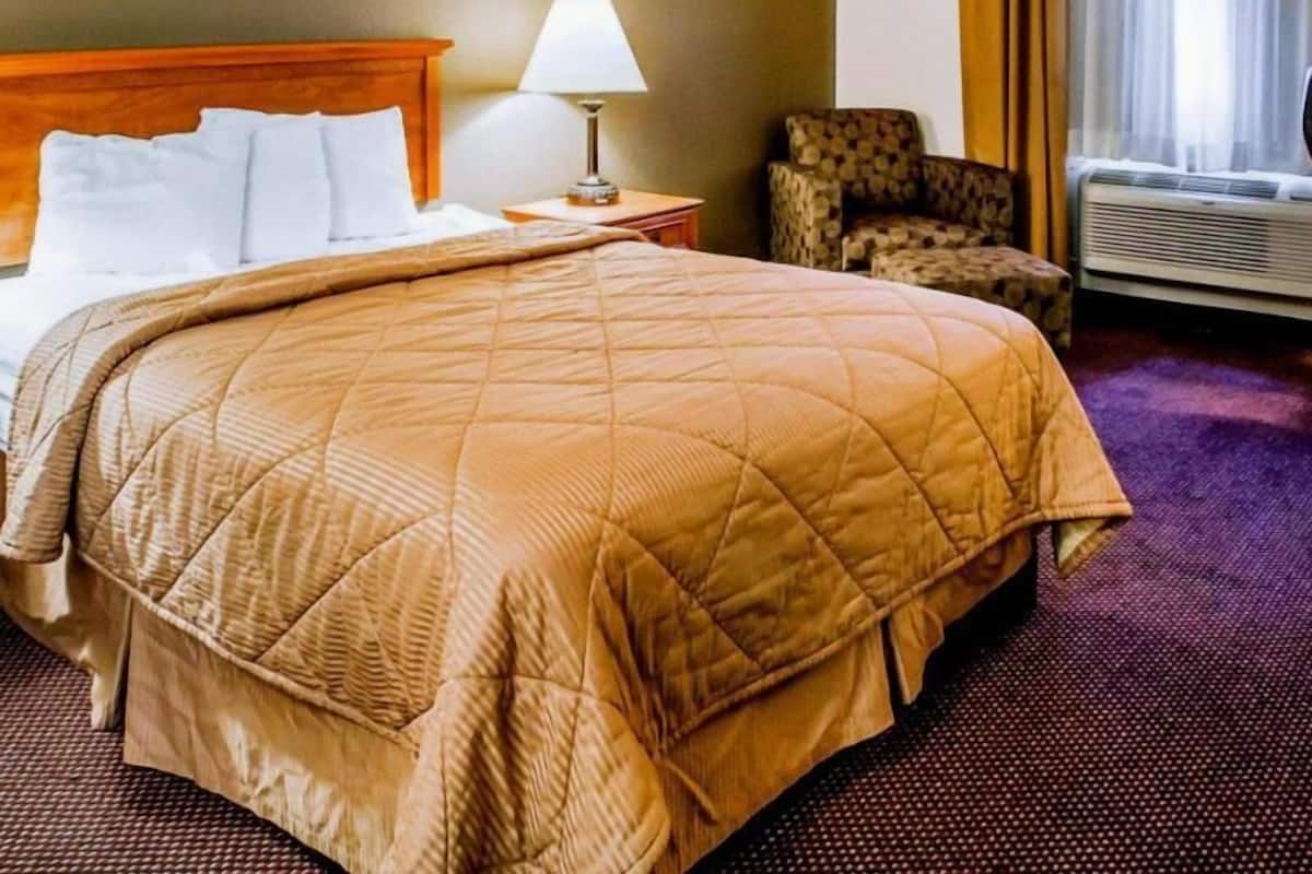 A hotel room with a large bed, a nightstand, a lamp, a chair, and a picture on the wall.