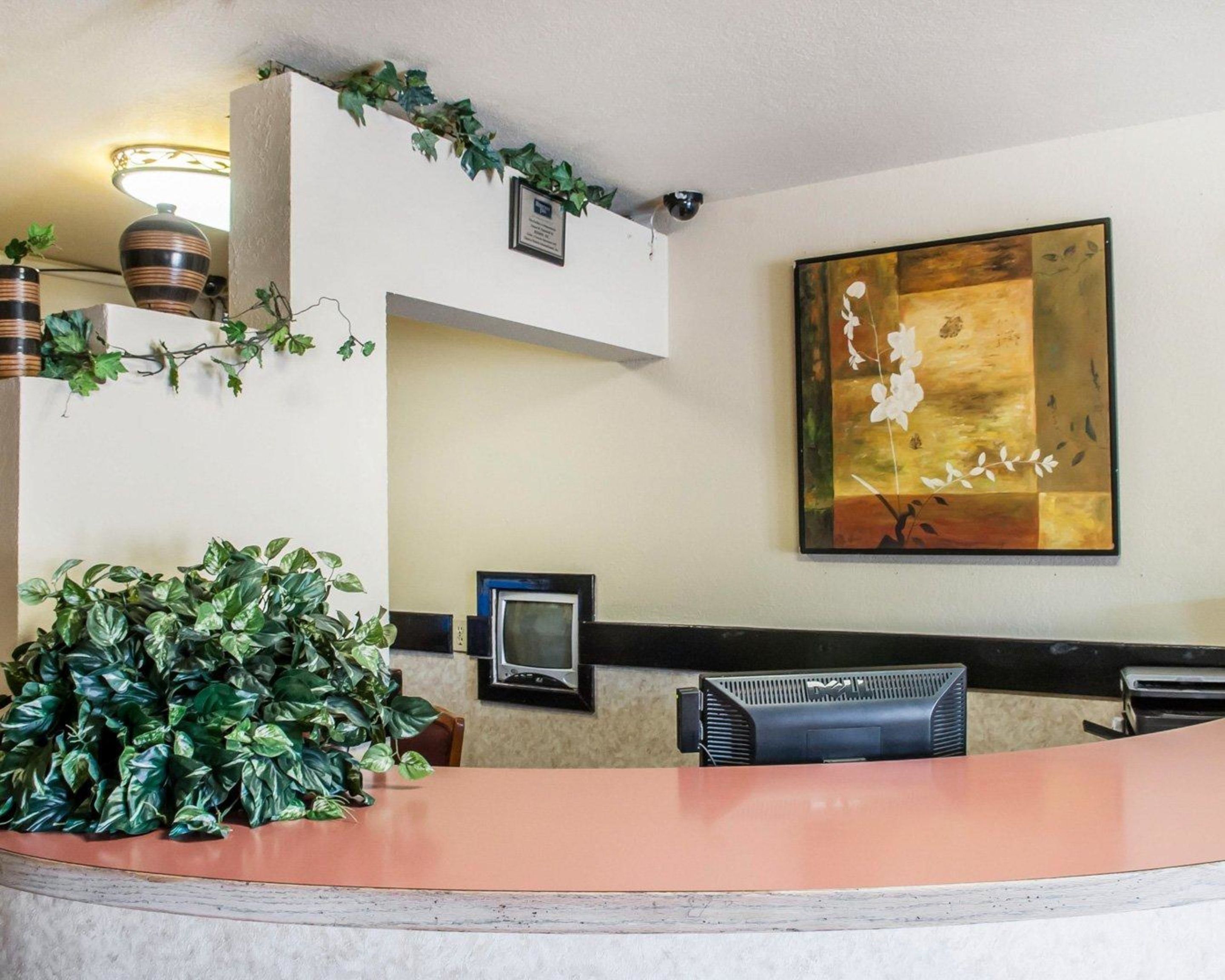 Un área de recepción con una planta grande en maceta, una obra de arte enmarcada en la pared y un televisor de pantalla plana montado sobre un escritorio.
