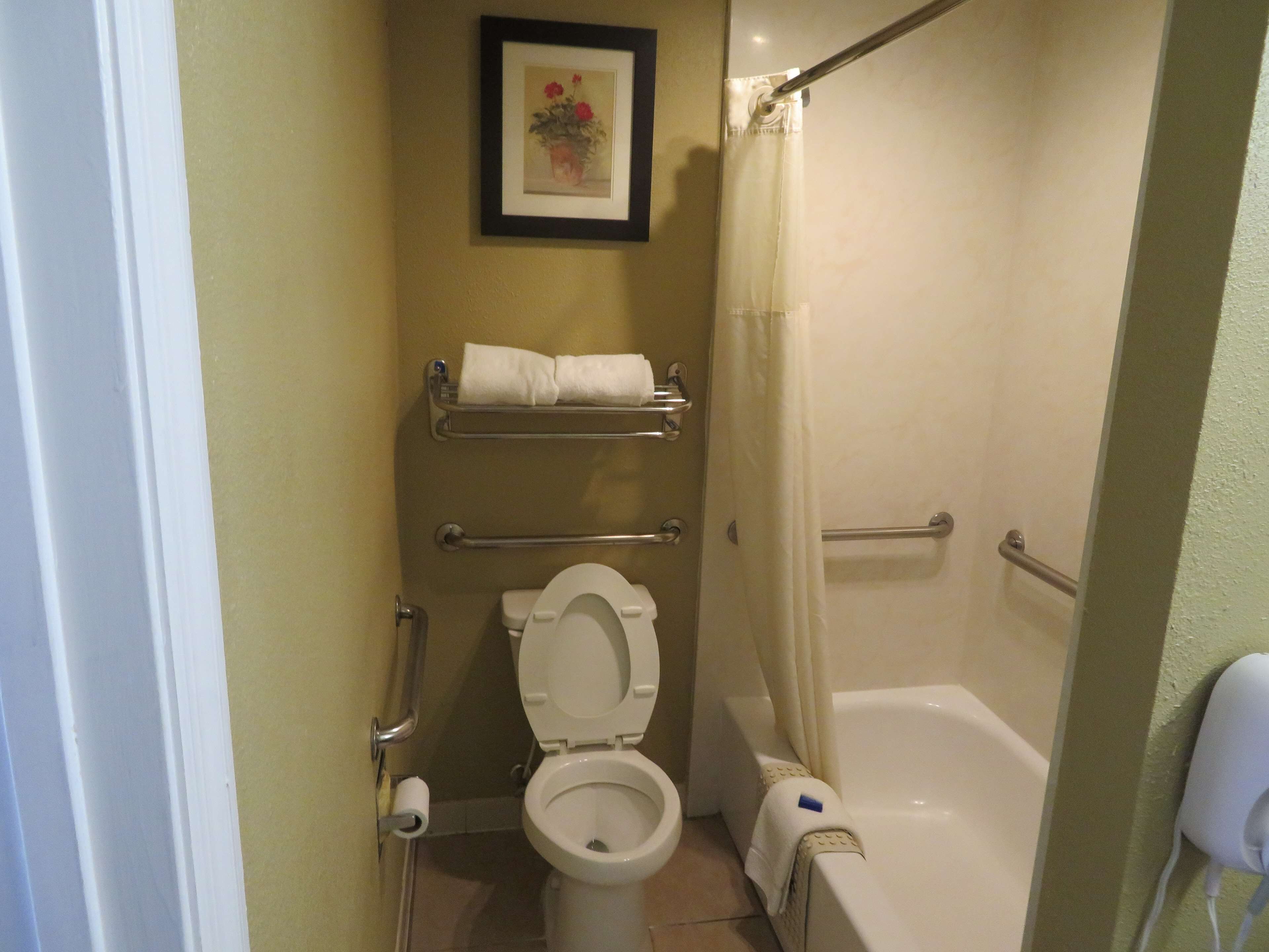 A bathroom with a toilet, a shower, and a framed picture on the wall.