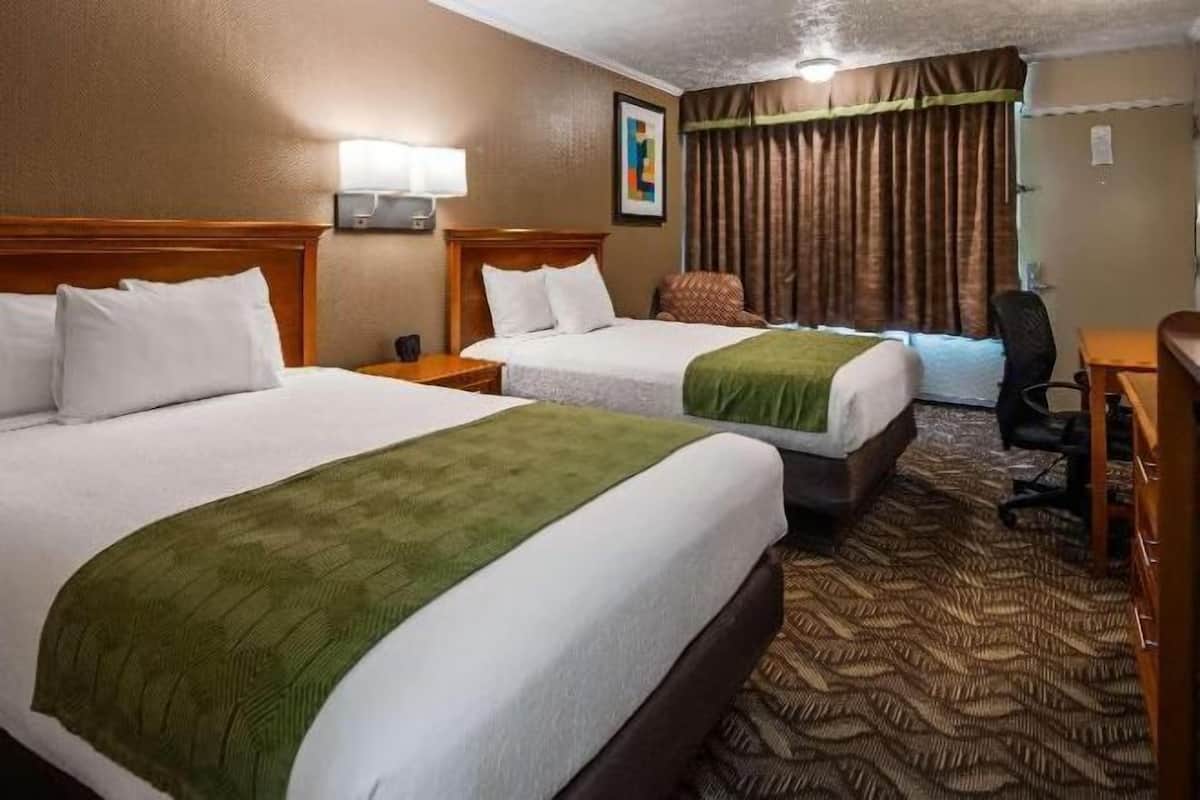 羽絨被、書桌、手提電腦工作空間、遮光窗簾/窗簾