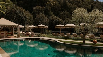 Outdoor pool, sun loungers