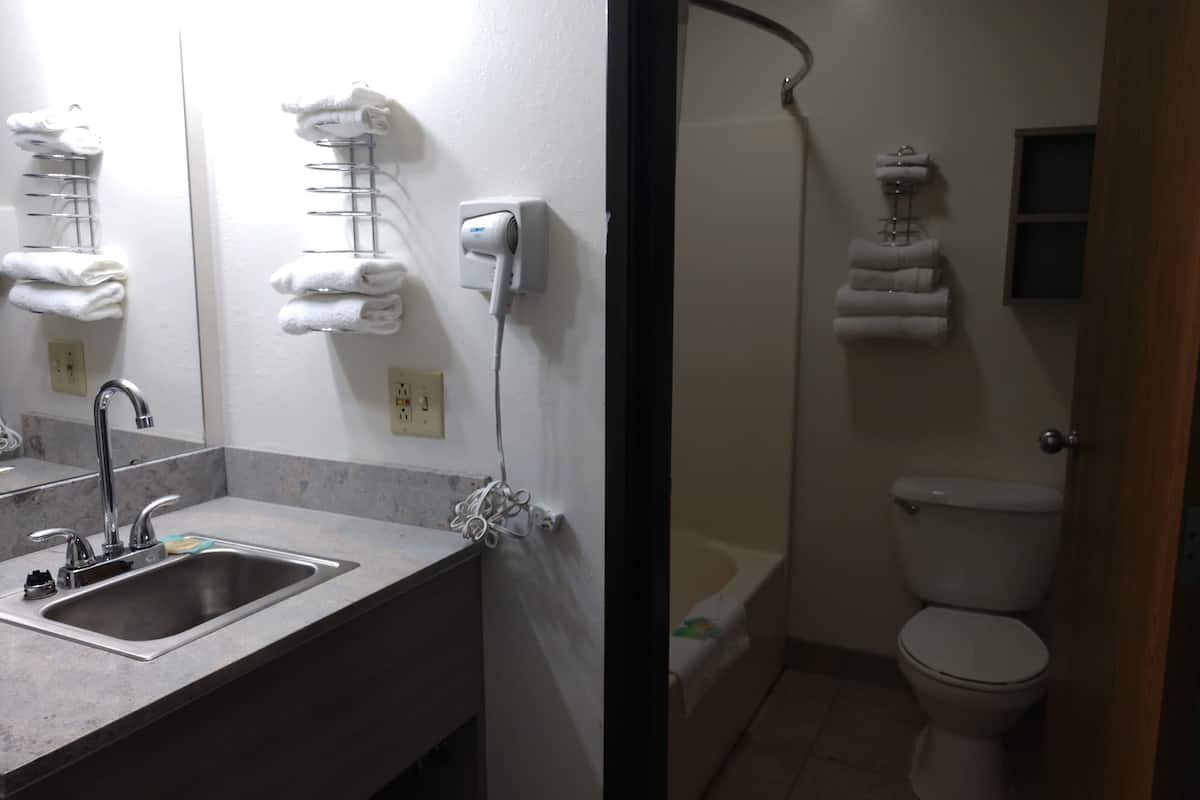 combined shower/bathtub, free toiletries, hair dryer, towels