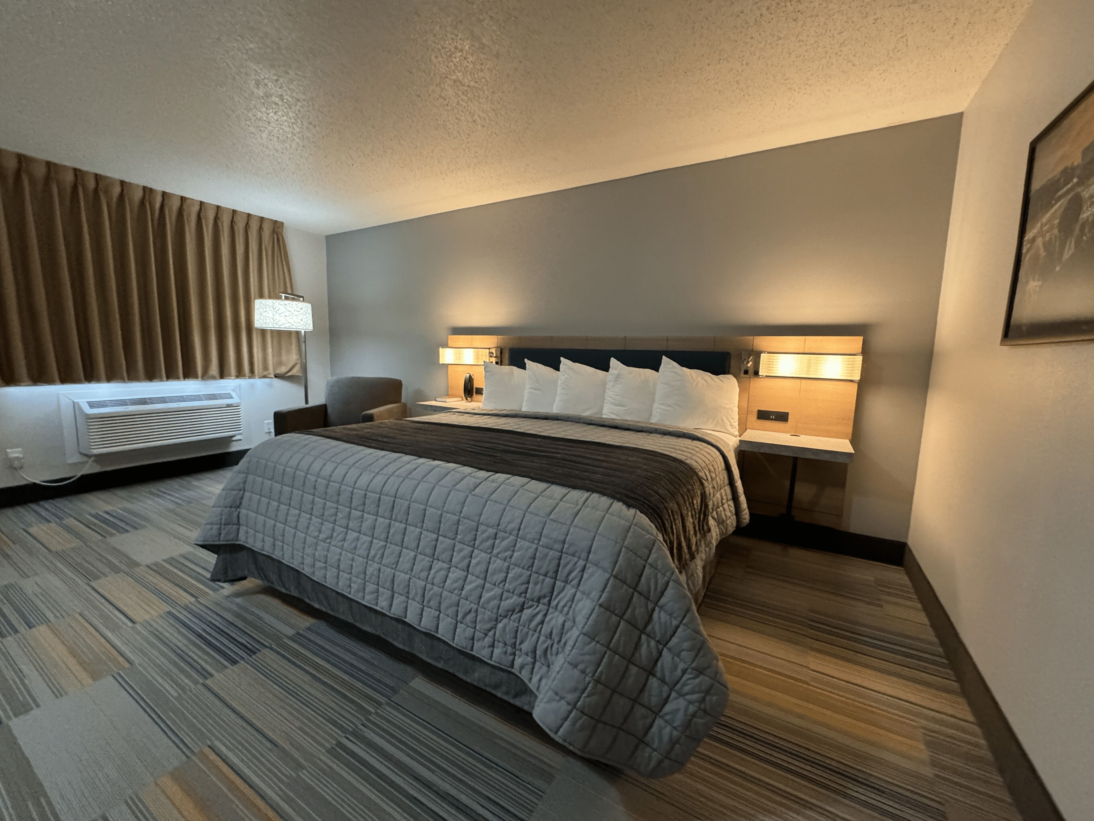 standard single room | 1 bedroom, desk, iron/ironing board, free wifi