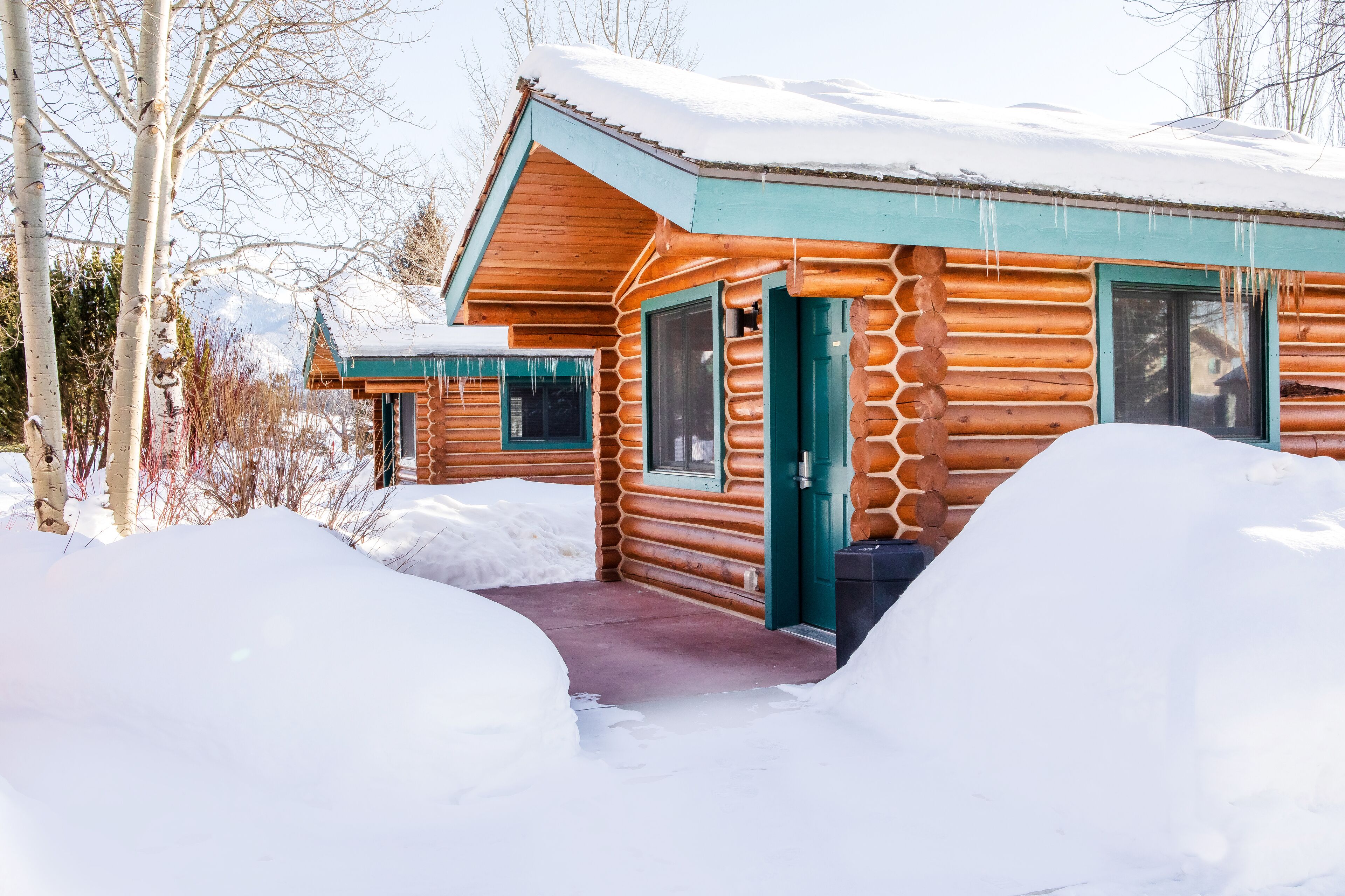 A log cabin with a green door and windows, surrounded by snow.