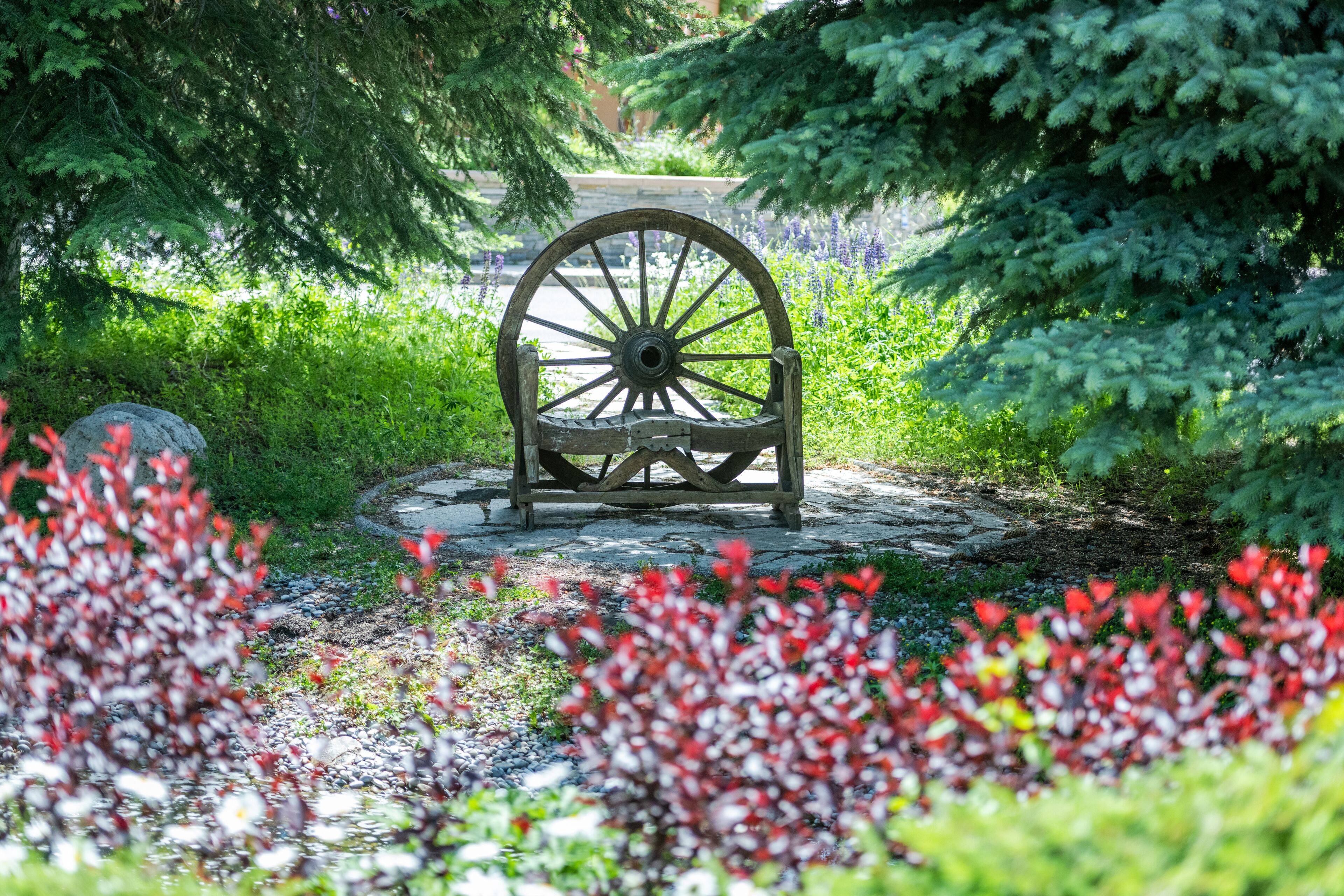 Un banc en bois rustique, doté d’un large dossier en forme de roue, installé dans un jardin luxuriant.