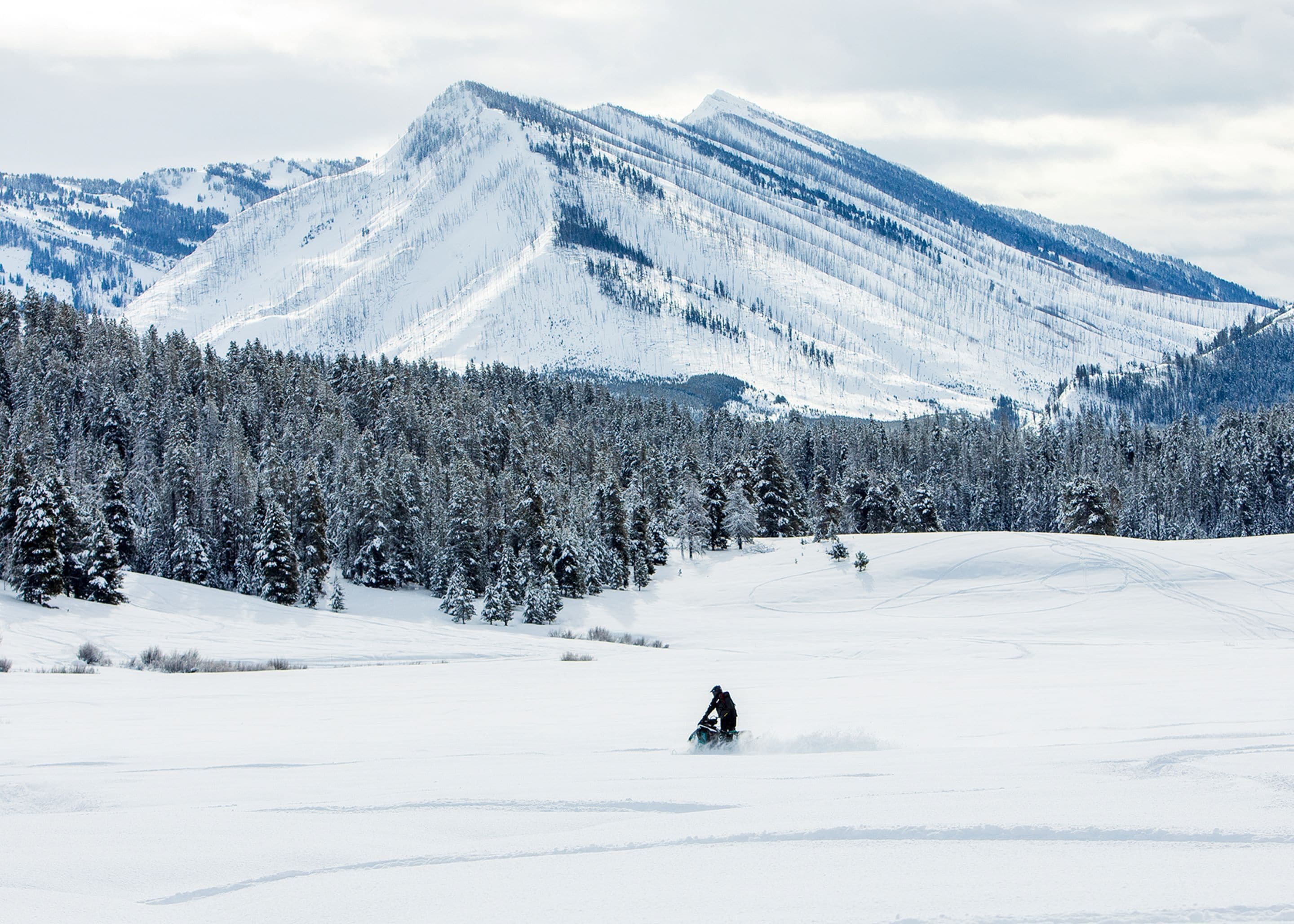 A snowy landscape with a person snowmobiling, a forested mountain range, and a clear sky.