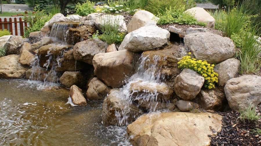 Flying Saddle Resort