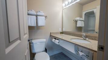 Een badkamer met toilet, wastafel en spiegel.