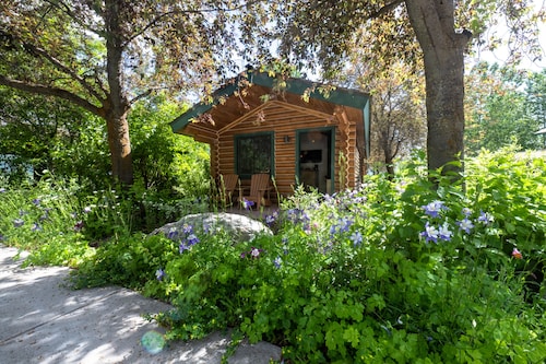 Flying Saddle Resort