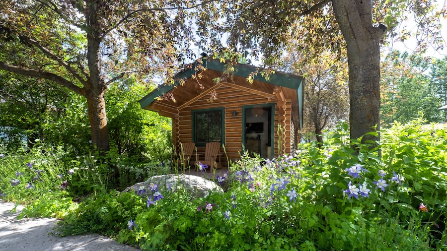 Flying Saddle Resort