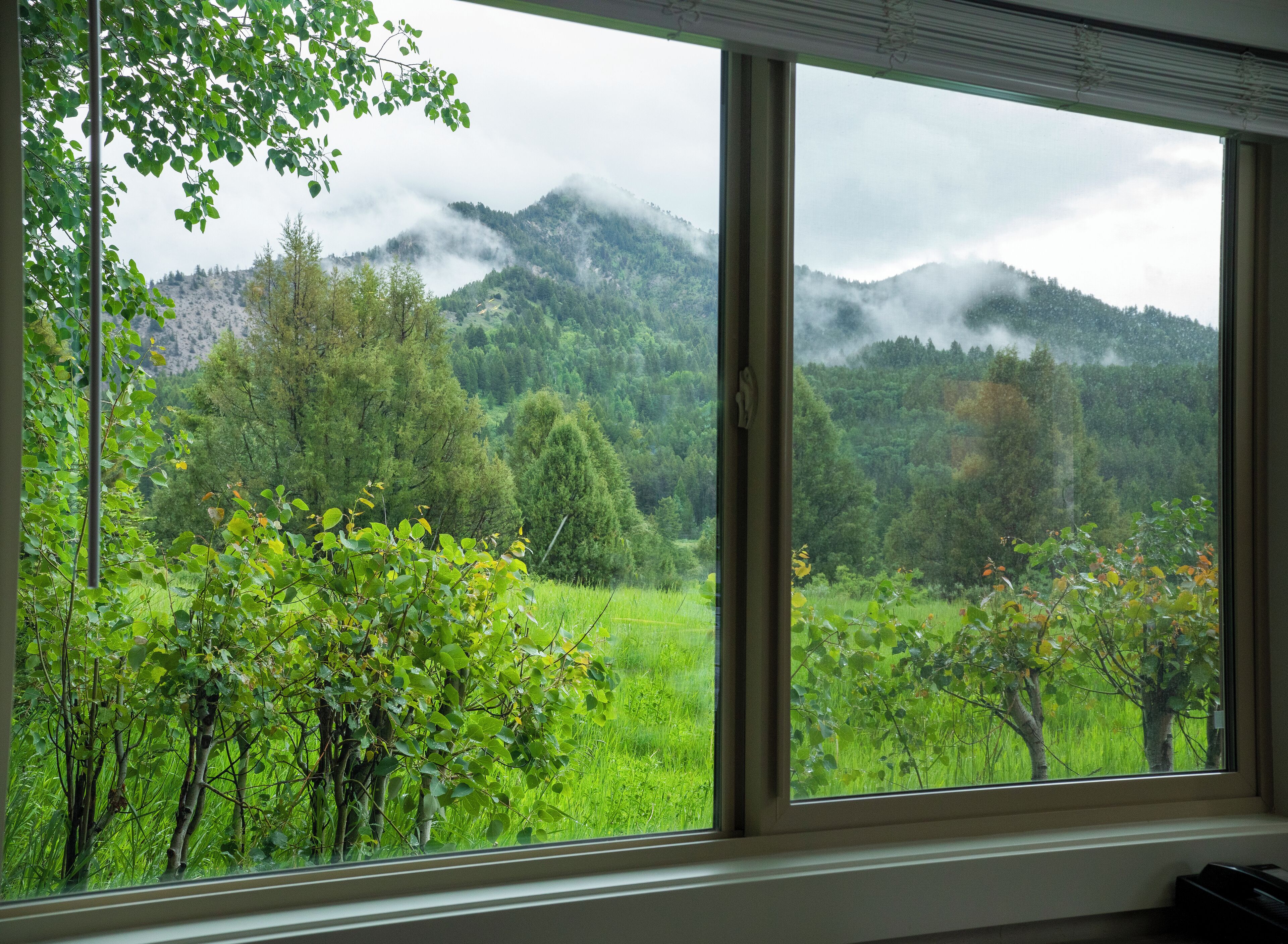 高級客房, 1 張特大雙人床, 山景, 地面層 | 書桌、筆電工作空間、熨斗/熨衣板、床單