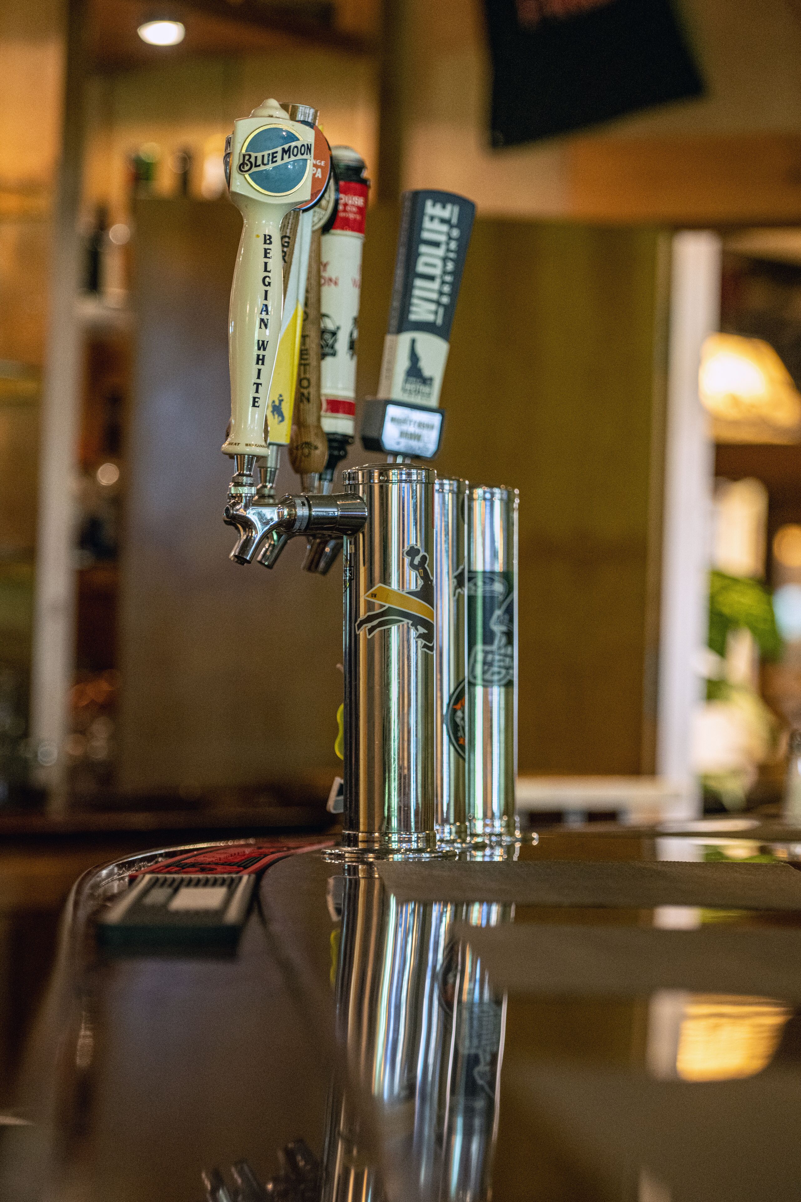 A bar with a tap labeled "Blue Moon" and "Wildlife."
