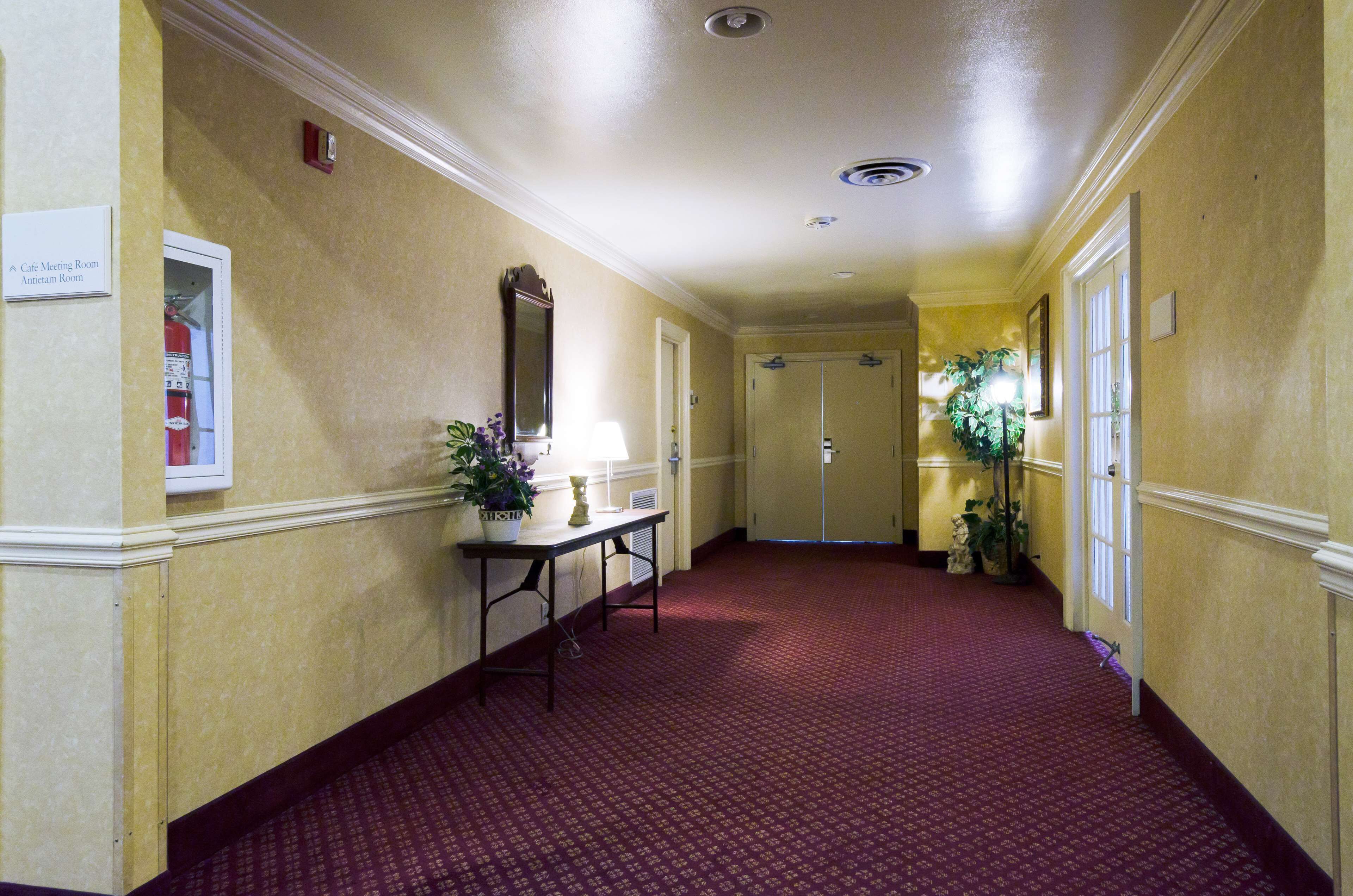 A hotel hallway with a red carpet, a table with a lamp and potted plants, and a door at the end.