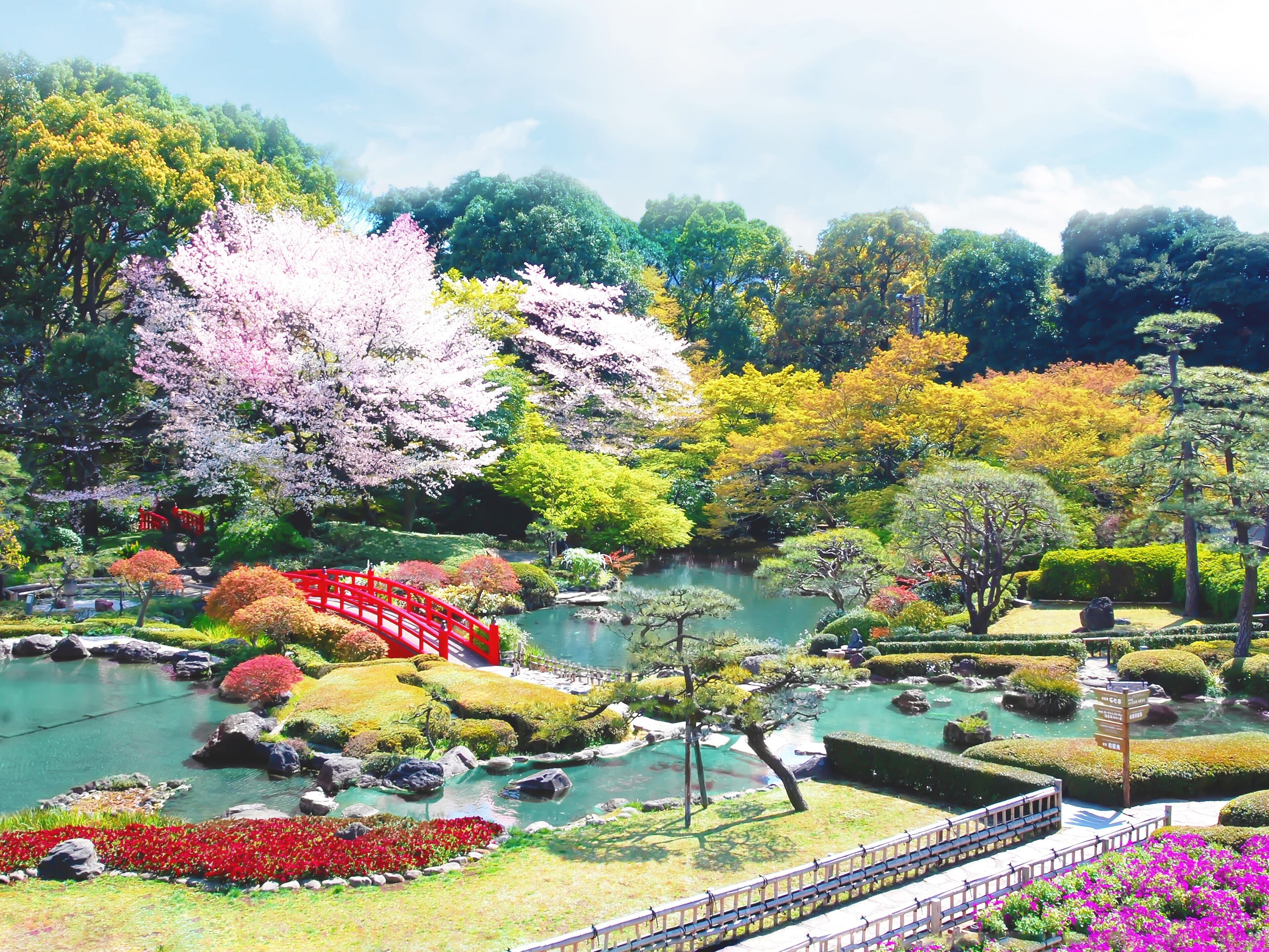 Jardí japonès tradicional amb un pont vermell, un estany de carps koi i diverses plantes.