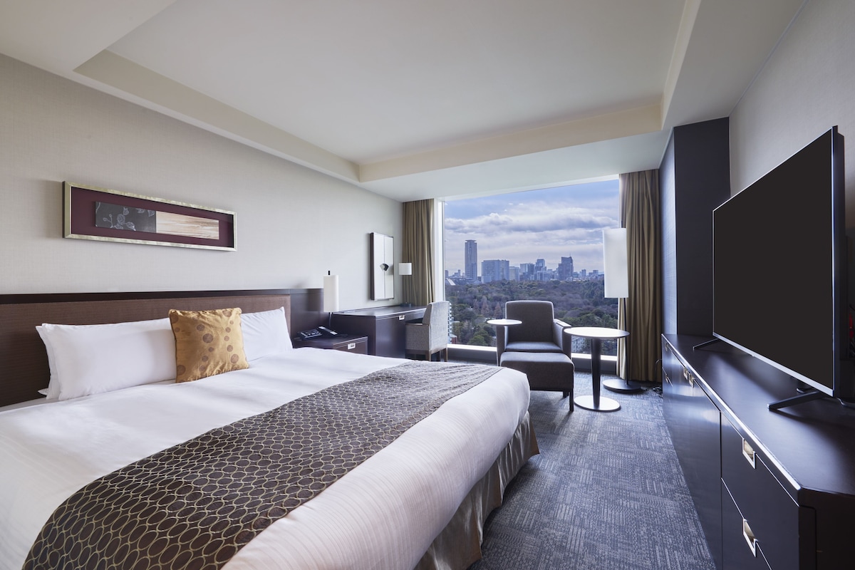 A hotel room with a large bed, a desk, a chair, a TV, and a view of a city skyline.
