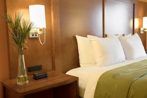 Suite, 1 King Bed, Accessible, Non Smoking (Efficiency) | Desk, iron/ironing board, free WiFi, bed sheets