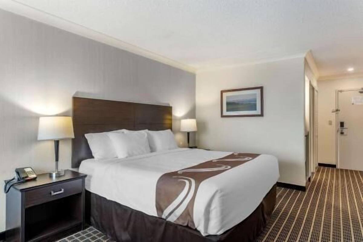 A hotel room with a bed, bedside tables, a nightstand, a lamp, a framed picture on the wall, and a carpeted floor.