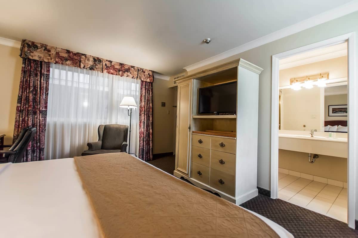 أسرّة بطبقة علوية مريحة ومكتب ومكواة/لوح كي وأسرّة أطفال/رضّع (مجانًا)