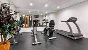 Un gimnasio con cintas de correr, máquinas de pesas y una planta grande en maceta.