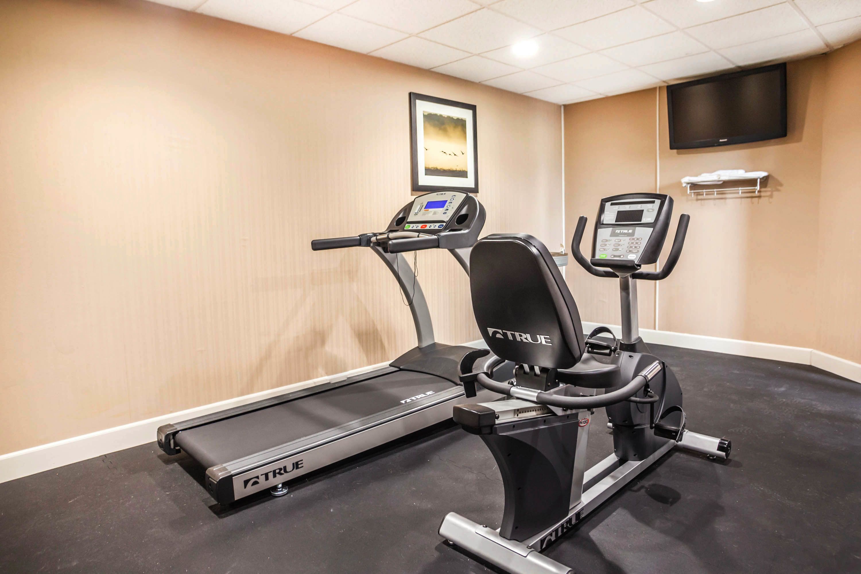 A gym with a treadmill and an elliptical machine.