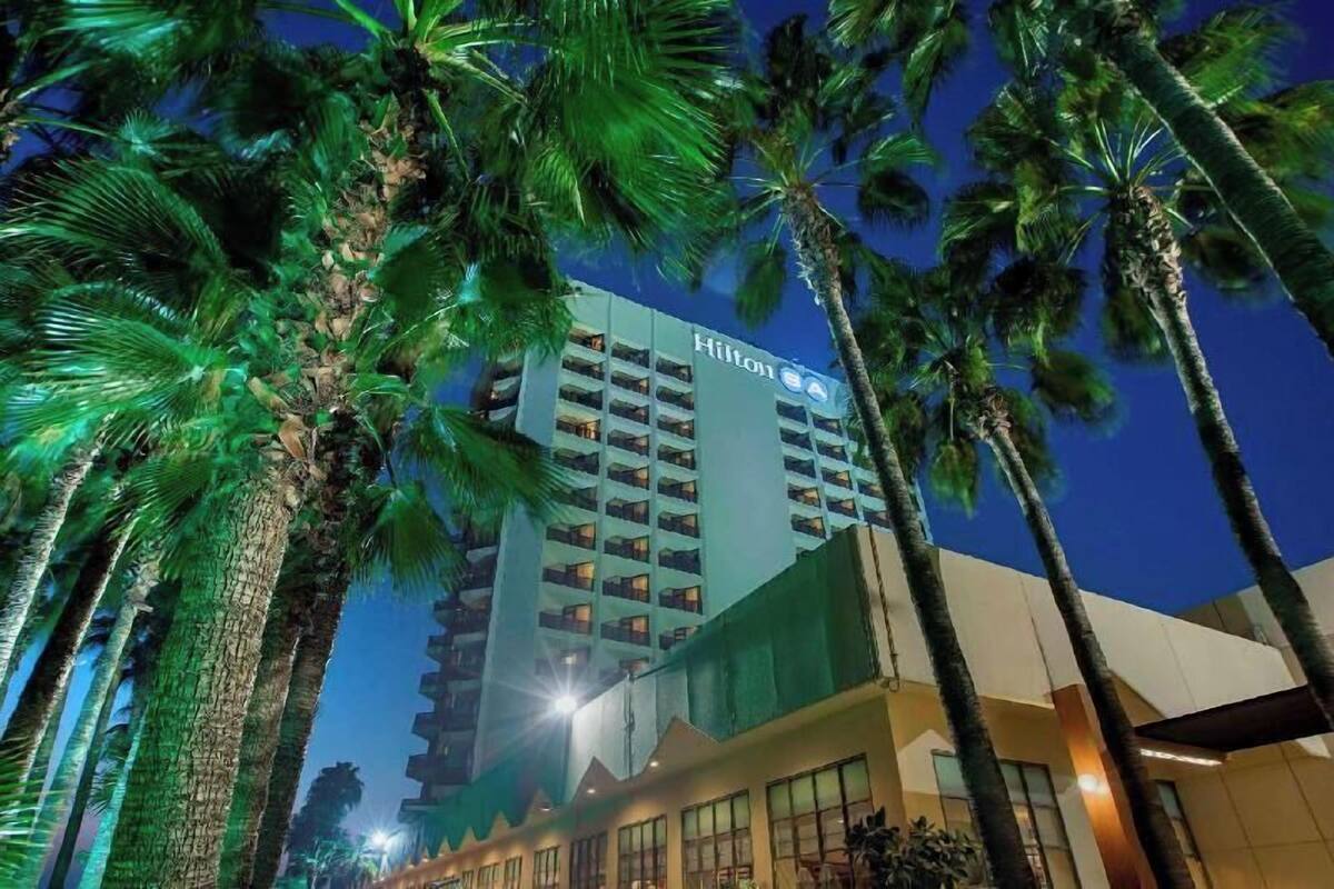 Um edifício alto de hotel com o logotipo Hilton, rodeado de palmeiras.