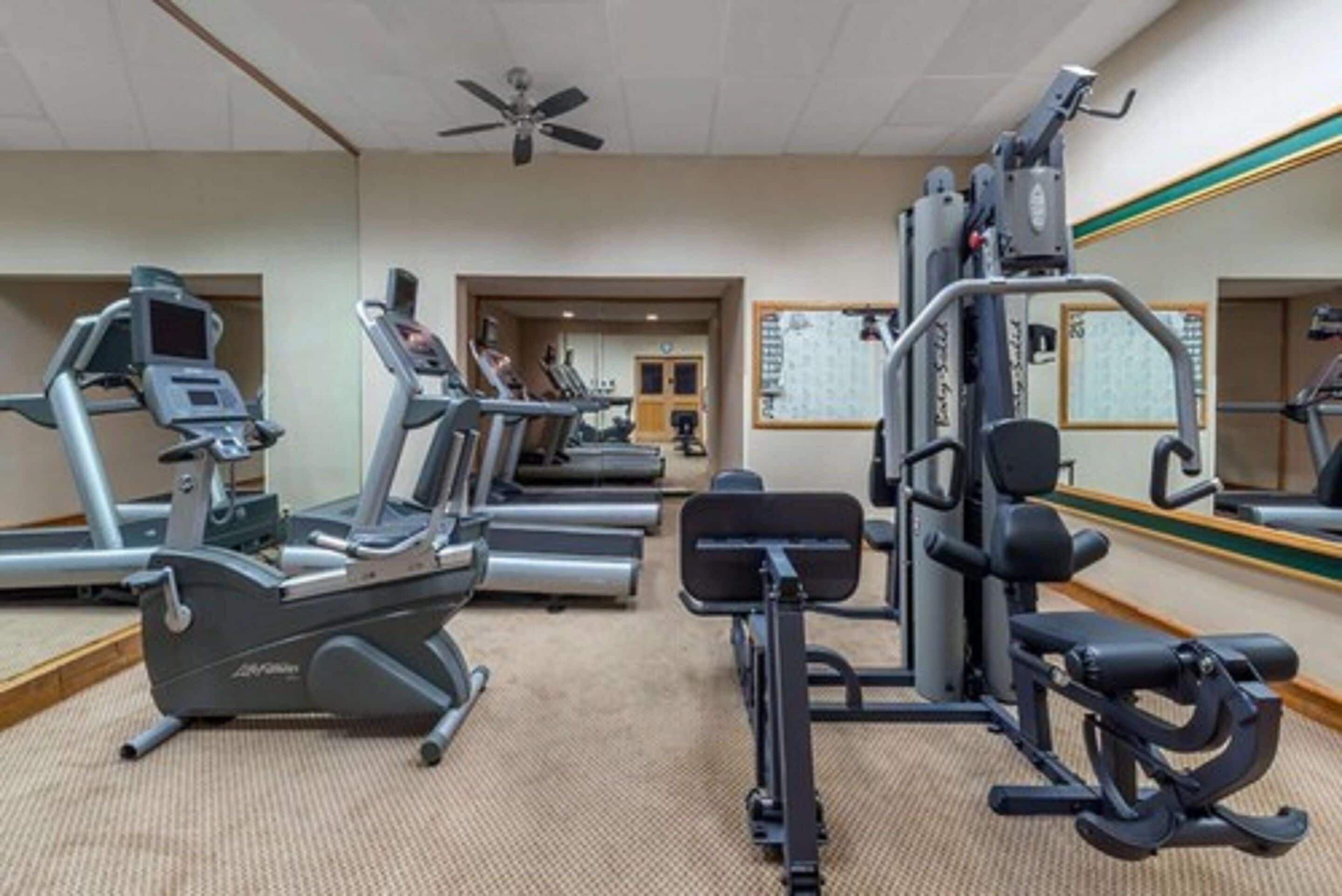 A gym with treadmills, elliptical machines, and weight equipment.
