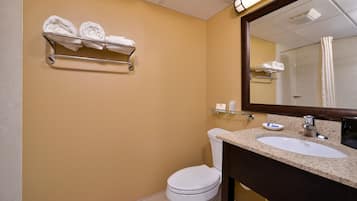 A bathroom with a toilet, sink, and towel rack.