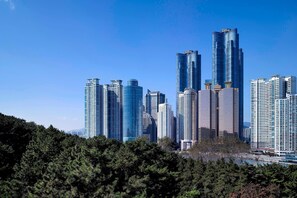 Vista desde la habitación