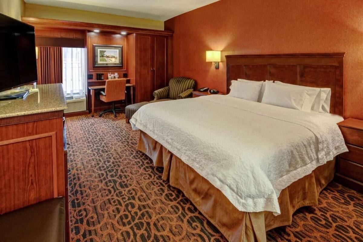 A hotel room with a large bed, a desk, a chair, a television, and a patterned carpet.