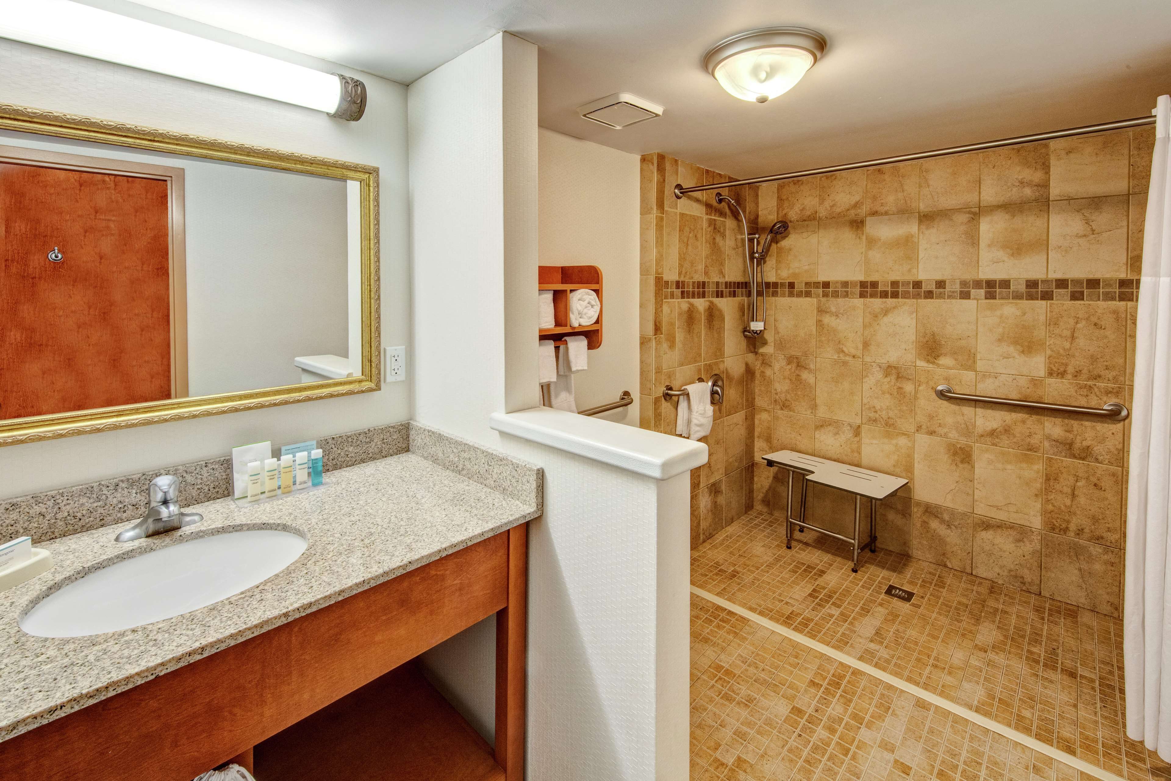 room, accessible, non smoking | bathroom shower