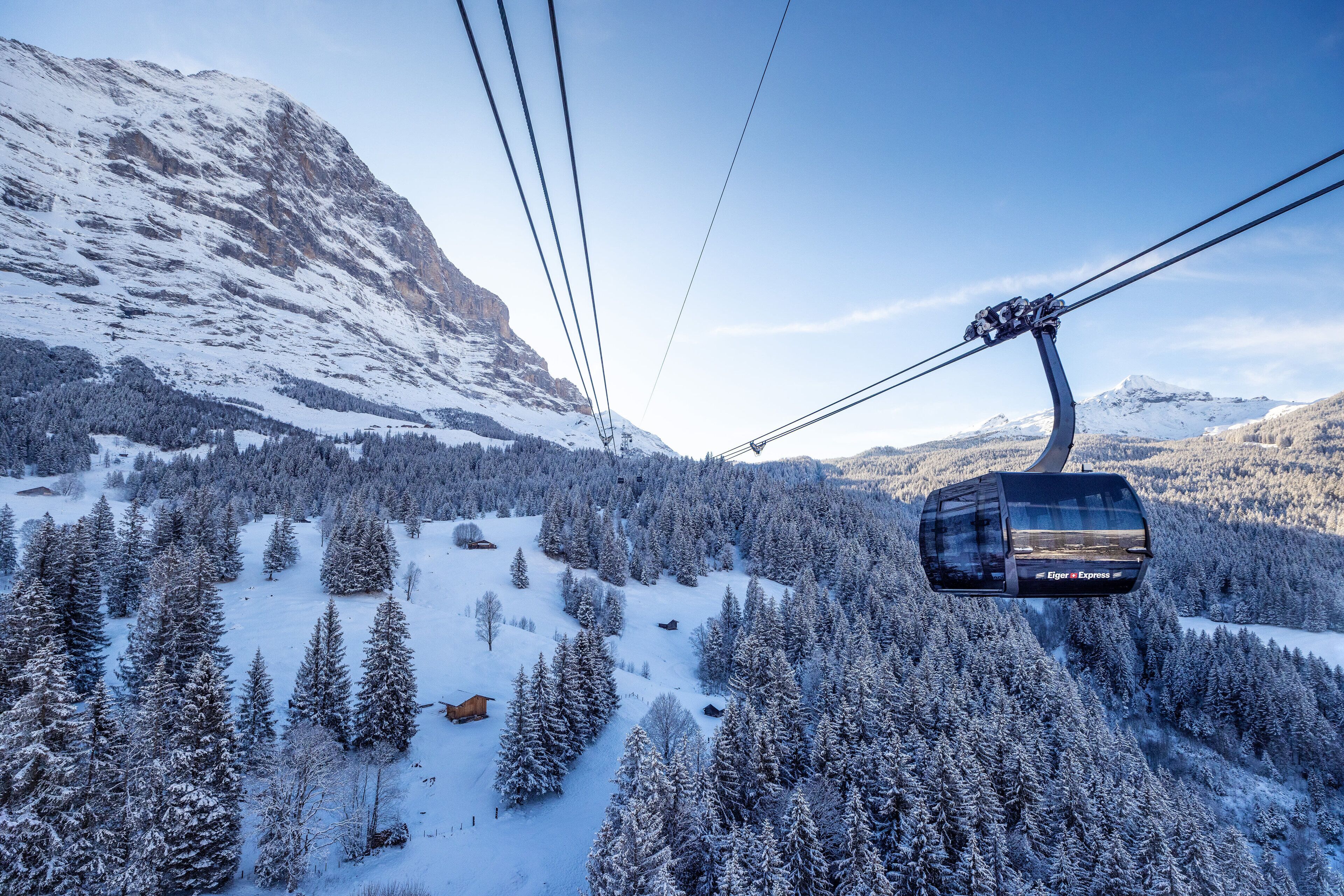 Un teleférico avanza por un bosque nevado con montañas al fondo.