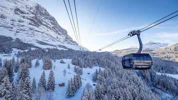Un teleférico avanza por un bosque nevado con montañas al fondo.