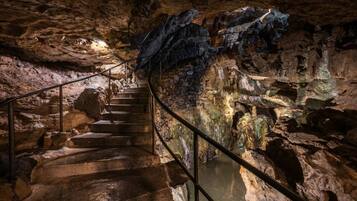 Una escalera en una cueva con barandales metálicos y formaciones rocosas naturales.