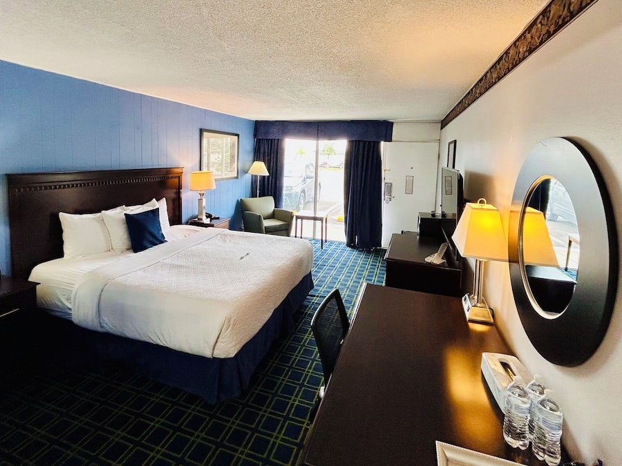 Room, 1 King Bed, Non Smoking | Premium bedding, desk, laptop workspace, blackout curtains