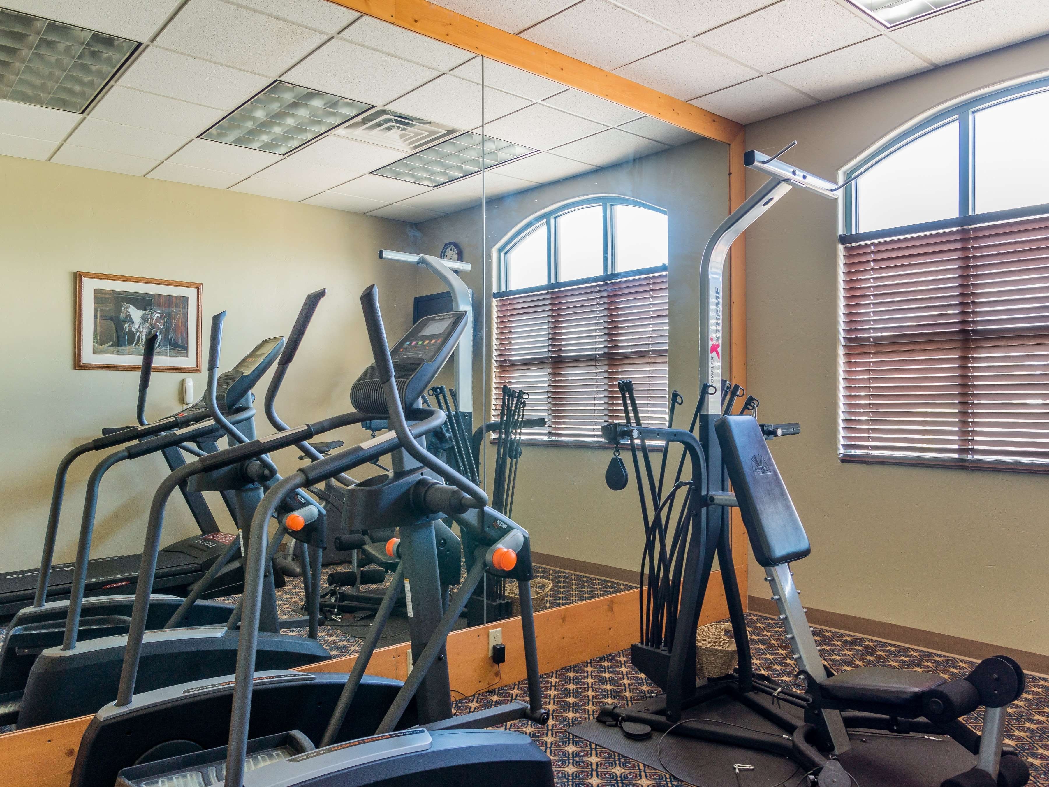 A gym with treadmills, elliptical machines, and weight equipment.