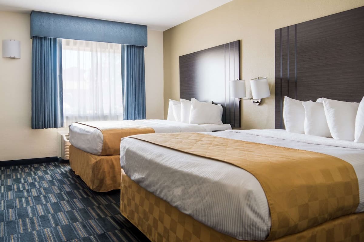 Cortinas blackout, ferros/tábuas de passar roupa, Wi-Fi (sobretaxa)