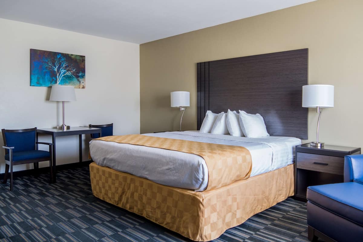 Une chambre d’hôtel avec un lit, deux tables de chevet, un bureau et une chaise.