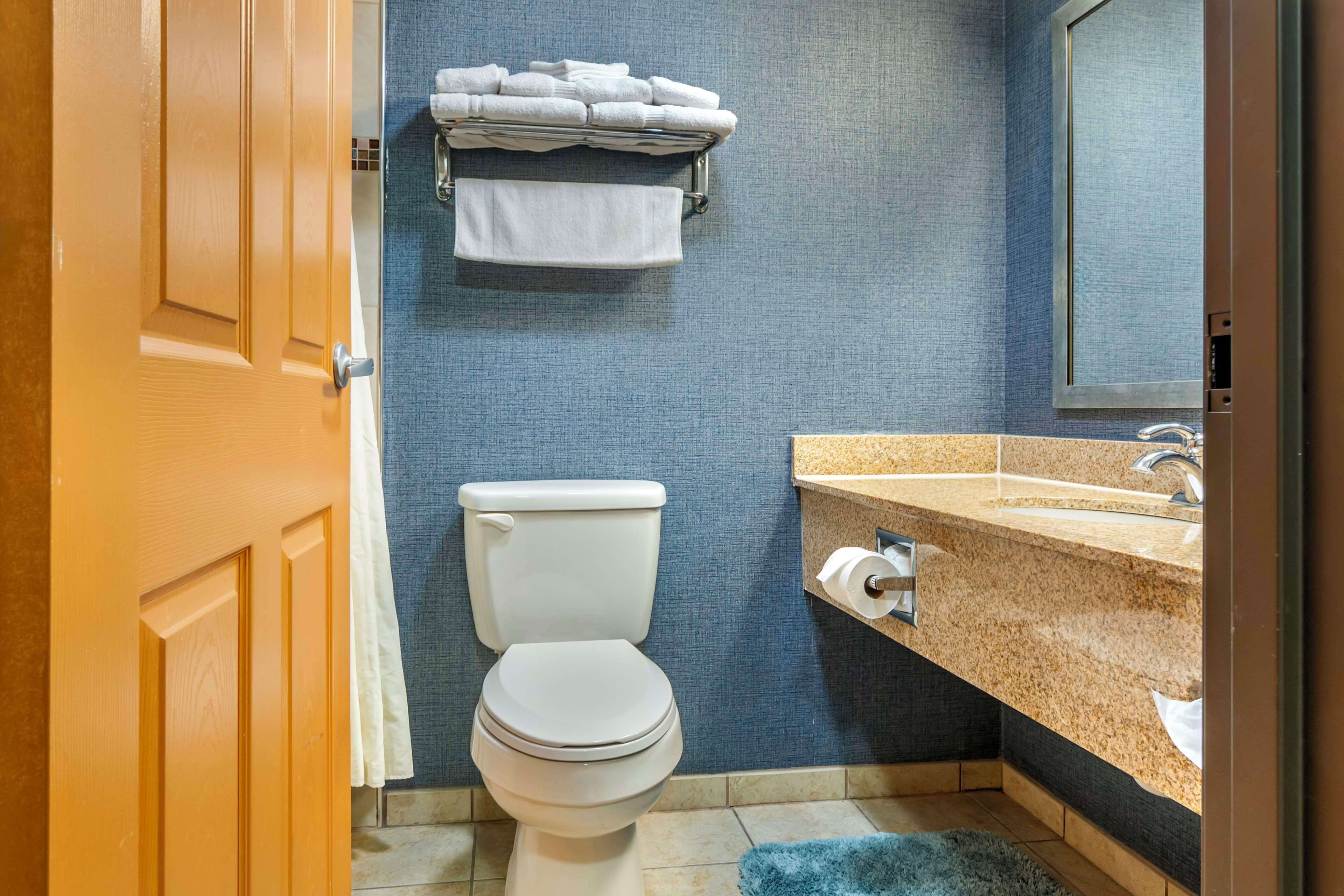 free toiletries, hair dryer, towels